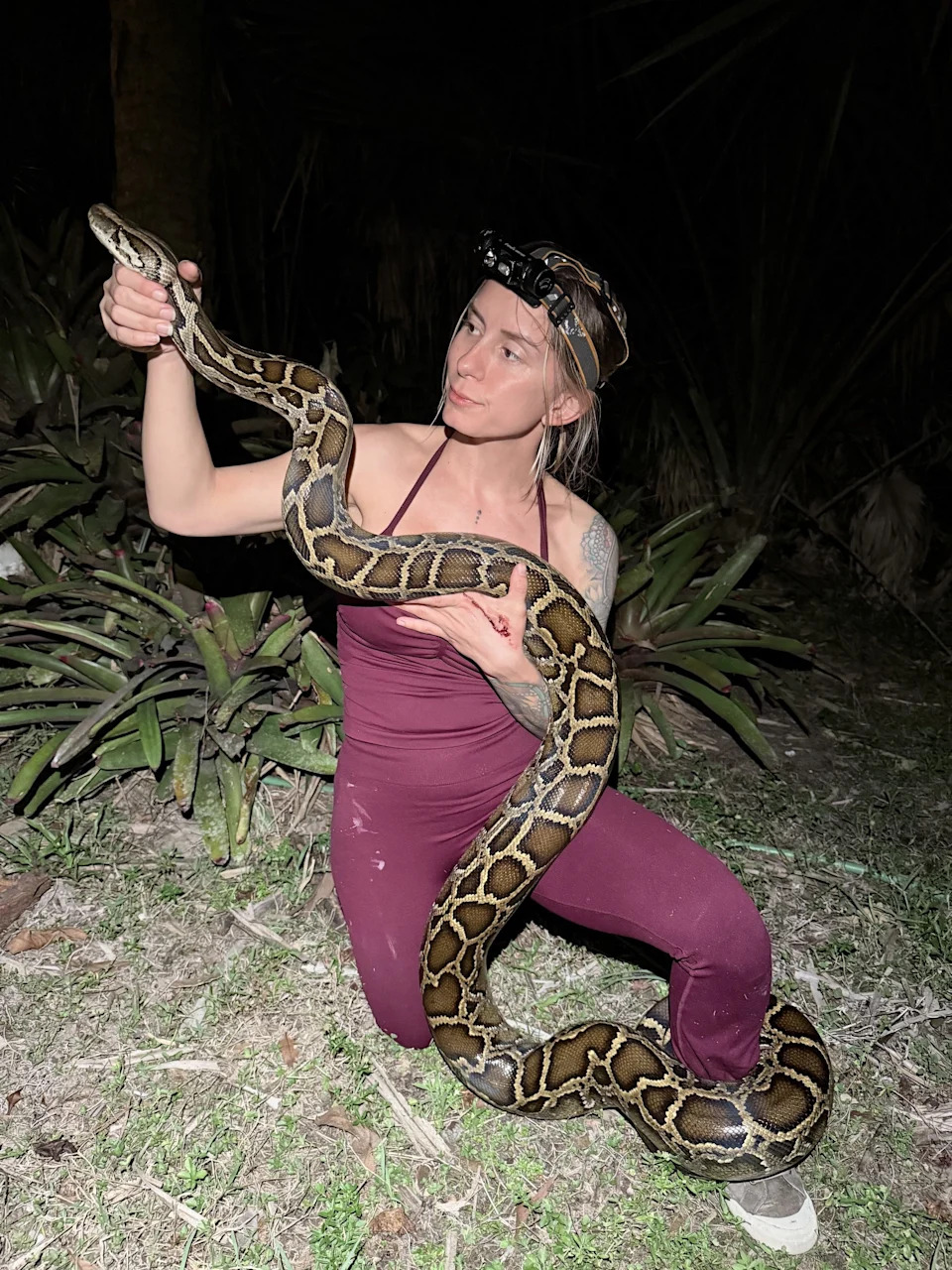 python challenge