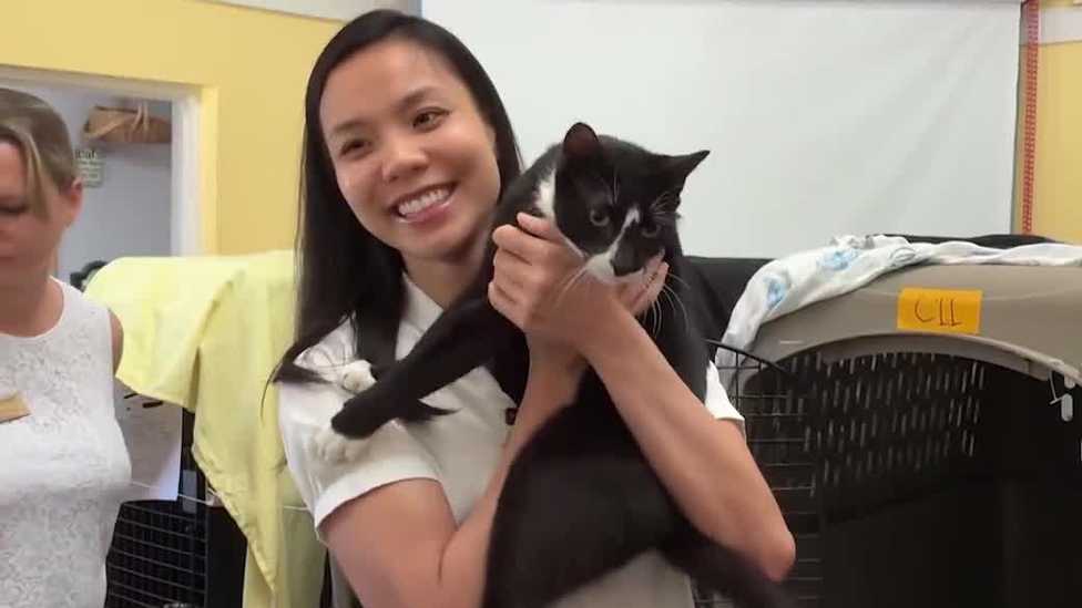 Martin County woman reunited with missing cat after 92 animals rescued from home