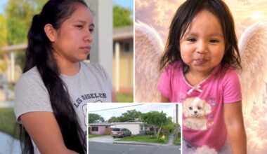 Florida girl, 2, dies after babysitter leaves her in blistering hot car for 3 hours
