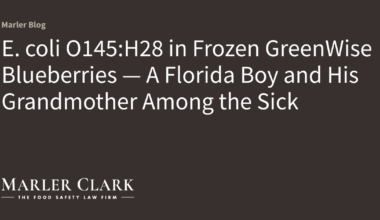 E. coli O145:H28 in Frozen GreenWise Blueberries — A Florida Boy and His Grandmother Among the Sick
