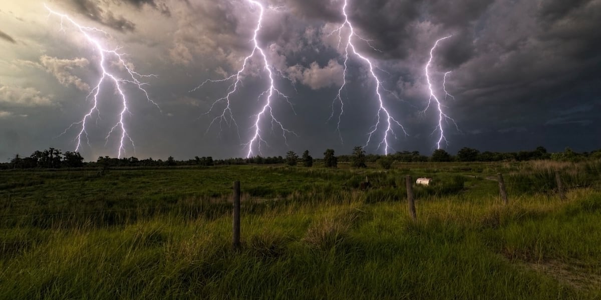 Tree fall kills one in Zephyrhills; lightning strike critically injures person in Dade City