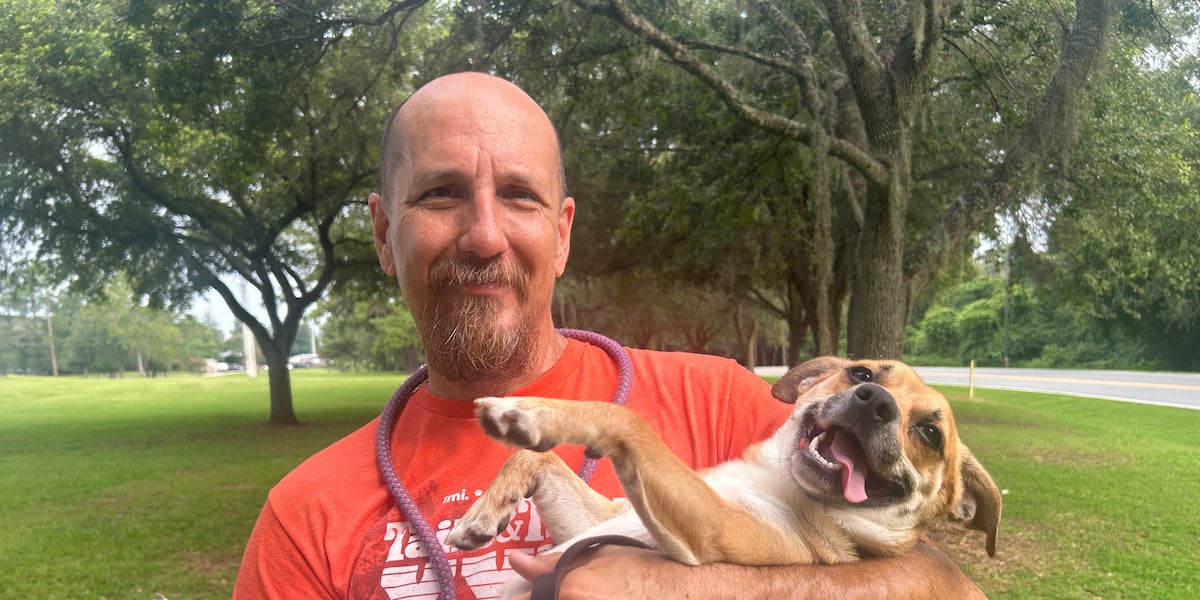 Furry Friday: Celebrate “DOGust 1st” by adopting a dog for free!