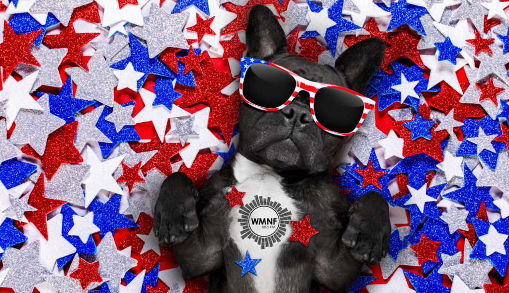 Celebrate Independence Day: Concerts and Shows in Tampa