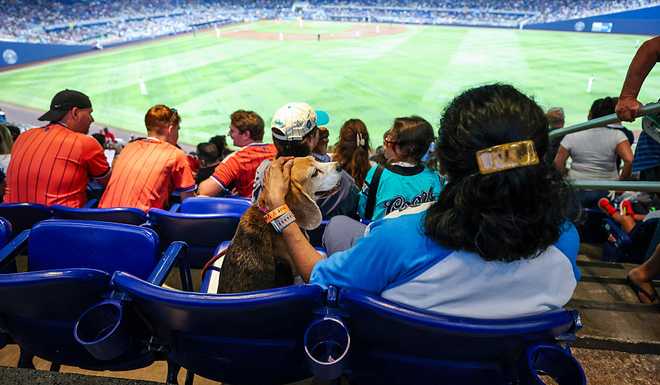 Scotland Fans - FIFA World Cup 2026 MIAMI, UNITED STATES - JUNE 22: A Marlins fan with her dog during a Major League Baseball match between Miami Marlins and Texas Rangers at LoanDepot Park, on June 22, 2026, in Miami, United States. (Photo by Craig Williamson/SNS Group via Getty Images)