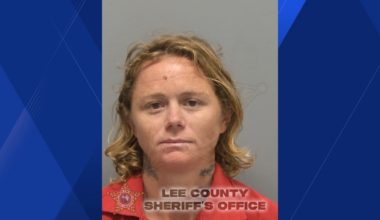Florida woman accused of pulling gun in road rage incident