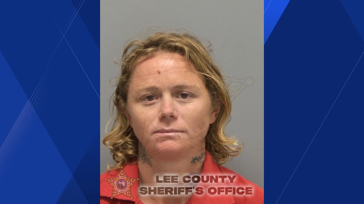 Florida woman accused of pulling gun in road rage incident