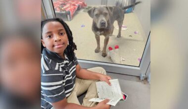 11-year-old logs 100 hours reading to shelter animals