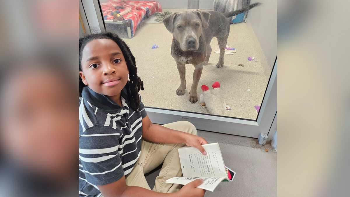 11-year-old logs 100 hours reading to shelter animals