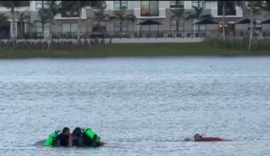 Woman and dog rescued from lake in Miami Lakes, fire officials say – NBC 6 South Florida