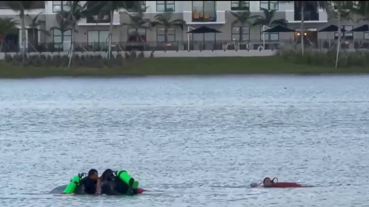 Woman and dog rescued from lake in Miami Lakes, fire officials say – NBC 6 South Florida
