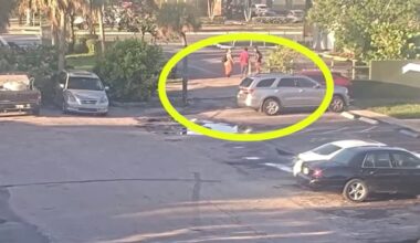 Surveillance shows mother and son being attacked by stranger in Fort Lauderdale – NBC 6 South Florida