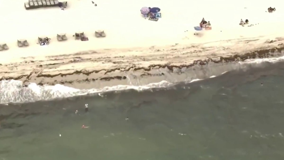 Swim advisory in effect at 2 Miami-Dade beaches for elevated levels of Enterococcus bacteria – NBC 6 South Florida