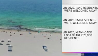 New data shows ‘sharp’ drop in migration to Florida, UF study finds – NBC 6 South Florida