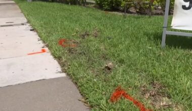 Victim ID’d in deadly hit-and-run after body found on side of Fort Lauderdale road – NBC 6 South Florida
