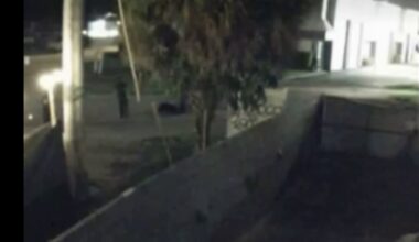 Woman dead after falling off car during altercation in Fort Lauderdale, police say – NBC 6 South Florida