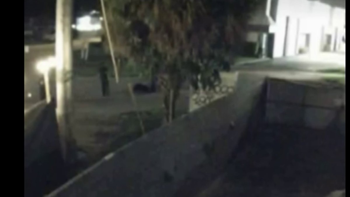 Woman dead after falling off car during altercation in Fort Lauderdale, police say – NBC 6 South Florida