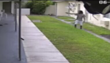 New video captures man open fire at apartment complex is North Miami Beach – NBC 6 South Florida