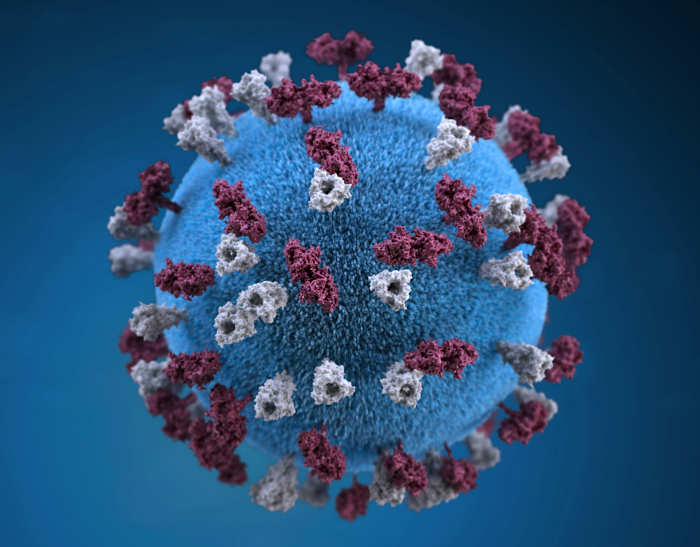 Florida measles cases spike in 2026, ranking among top 5 states nationwide
