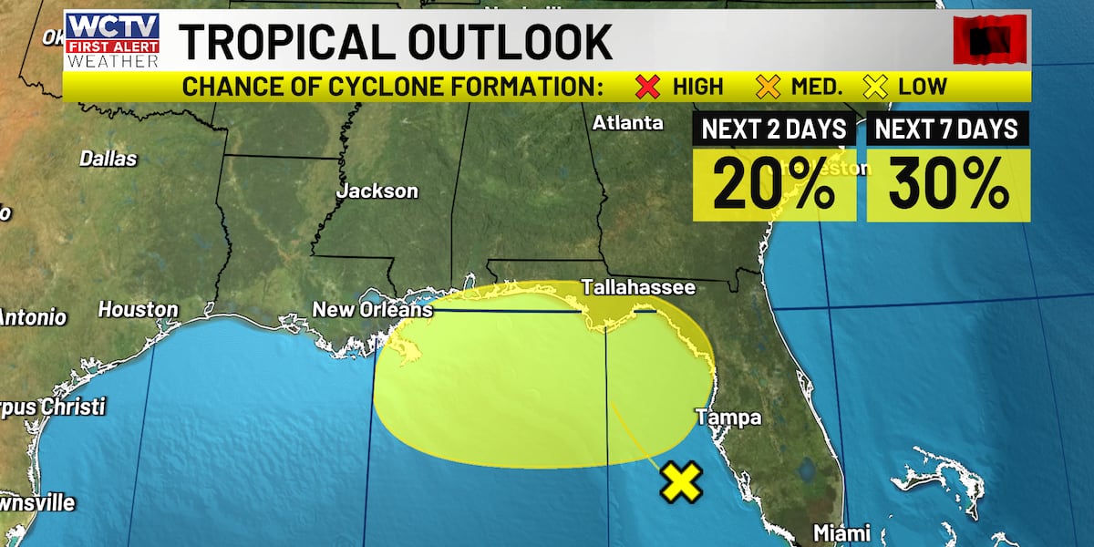 Higher rain chances this weekend and the possibility of tropical development