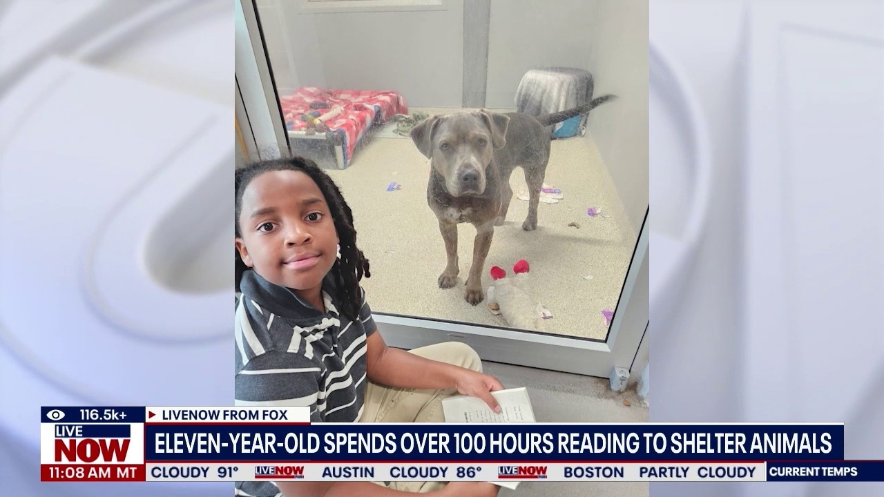 Boy, 11, spends 100 hours reading to shelter animals