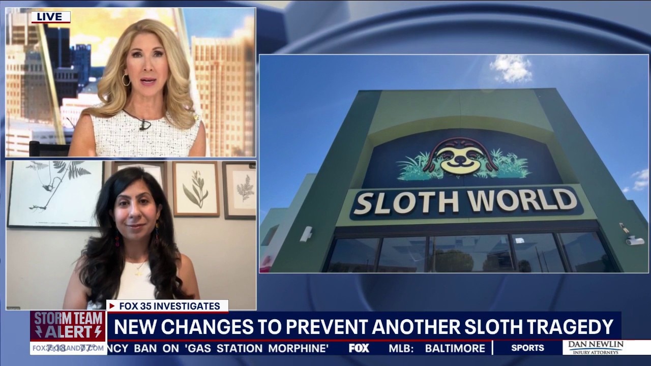 Florida updates sloth import rules after Sloth World deaths