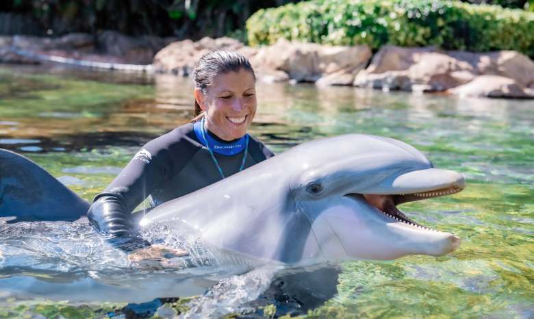 A dolphin and a trainer at Discovery Cove in Orlando