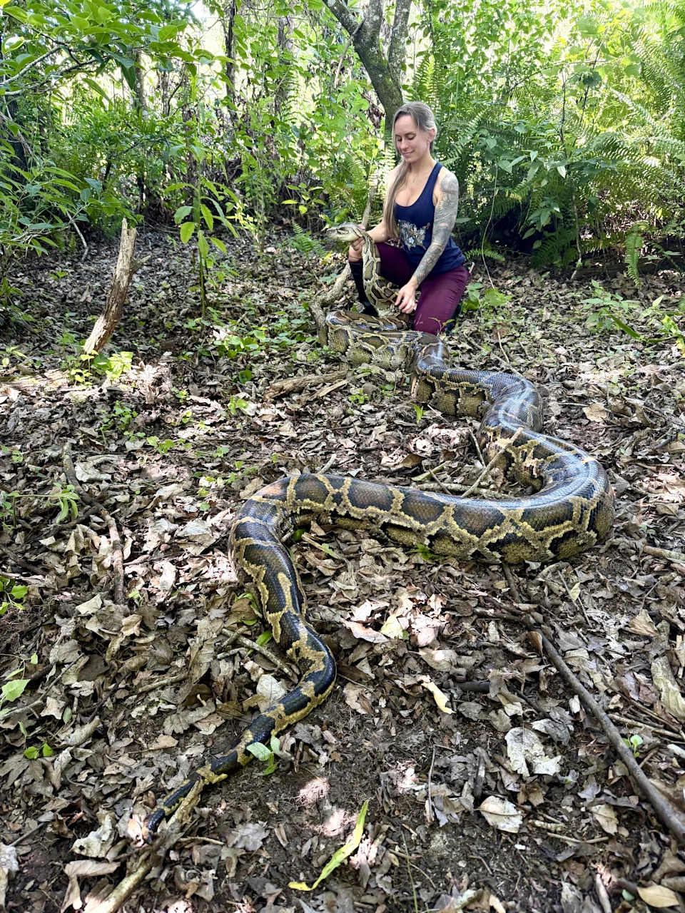 python challenge