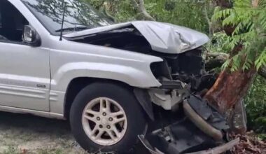 Casselberry woman questions police investigation after driver crashes into tree near her home