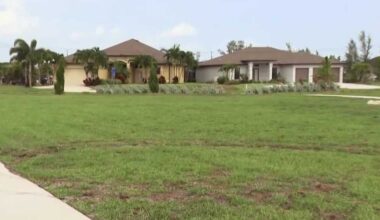 Tire tracks left behind in grass at Tropicana Park in Cape Coral
