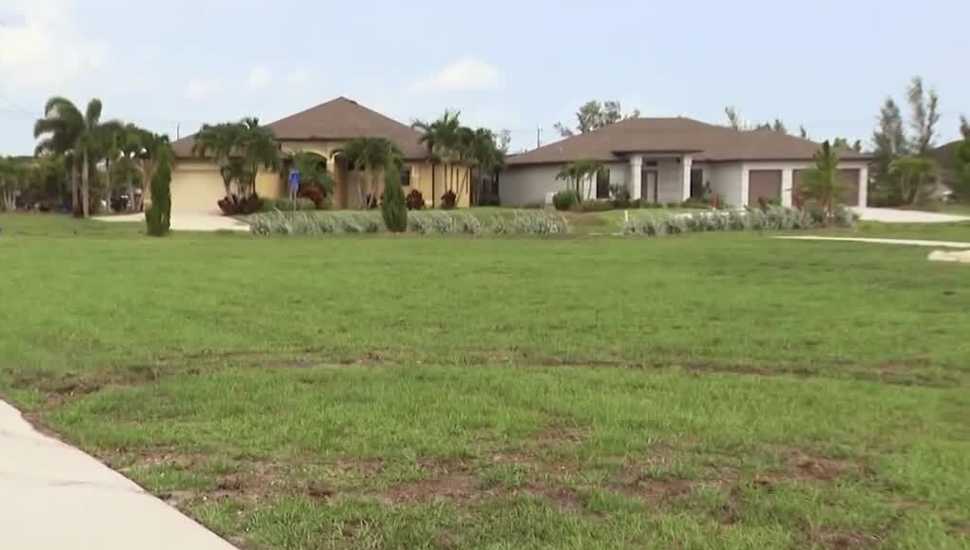 Tire tracks left behind in grass at Tropicana Park in Cape Coral