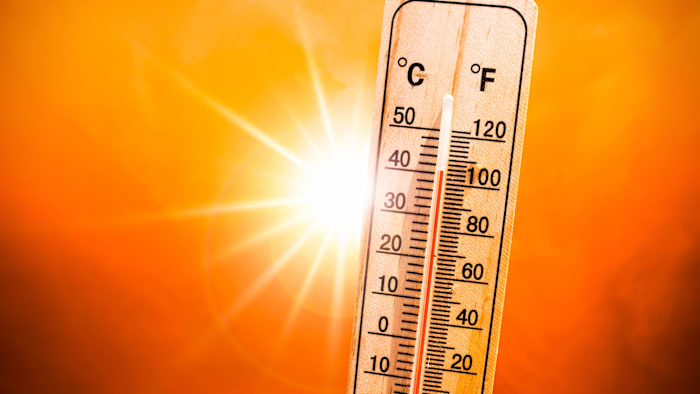 Central Florida Is Having One of Its Hottest Summers on Record.