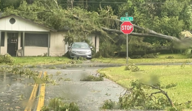 Thunderstorms knock out power, down trees across North Central Florida