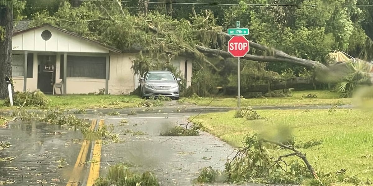 Thunderstorms knock out power, down trees across North Central Florida