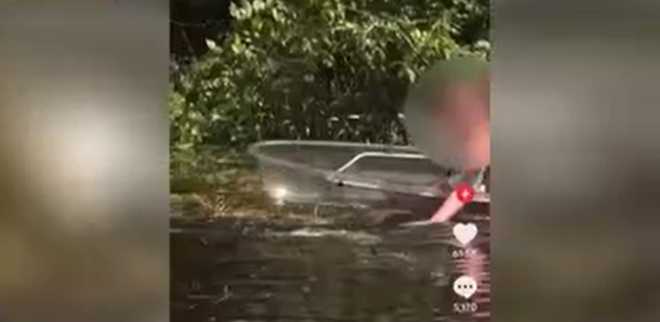 Women seen petting gator women seen petting gator
