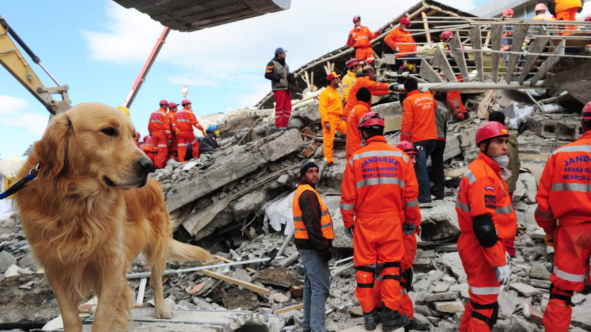 South Florida Ships 50 Tons of Earthquake Relief to Venezuela | NewsRadio WIOD