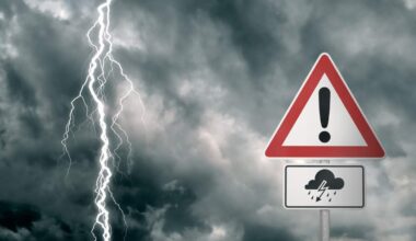 Lightning Strike Sends Tree Crashing Onto SUV in North Miami | NewsRadio WIOD