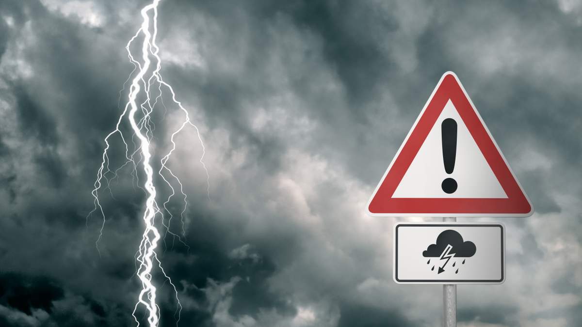 Lightning Strike Sends Tree Crashing Onto SUV in North Miami | NewsRadio WIOD