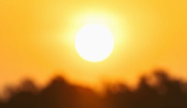 St. Petersburg Woman Charged After Toddler Found in Hot Car | NewsRadio WFLA
