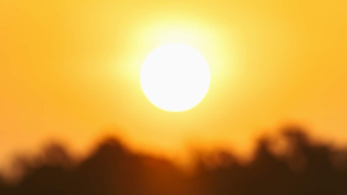 St. Petersburg Woman Charged After Toddler Found in Hot Car | NewsRadio WFLA