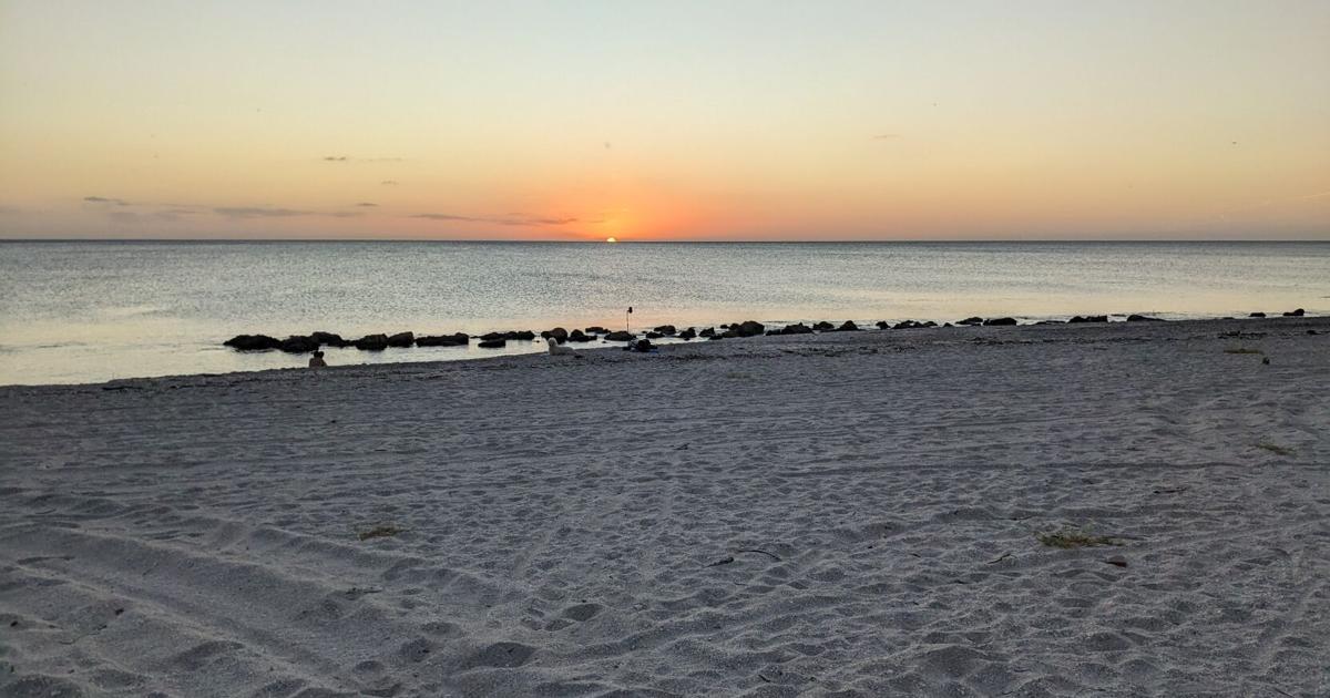 Gather in green space to celebrate it this month | Port Charlotte News