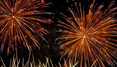 Your Guide to Fourth of July Fun Across Southwest Florida | News