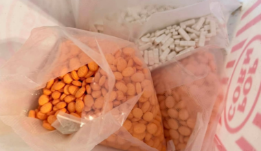 531 grams of meth found in Cape Coral home after months-long investigation | Lee County