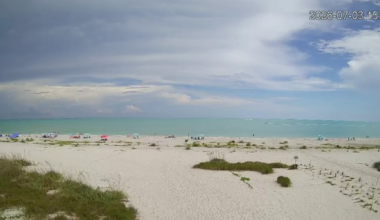Should freshwater game fish return to Sanibel? Scientists say not yet | Weather Authority