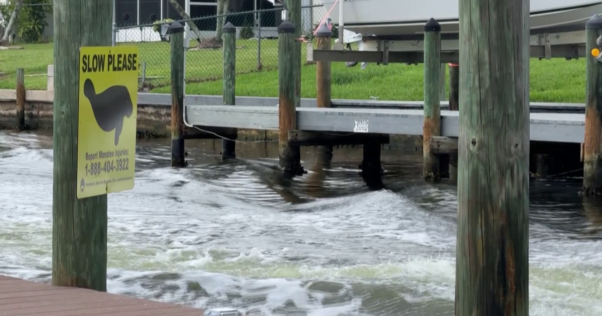 Cape Coral woman says speeding boats are destroying her dock | Lee County