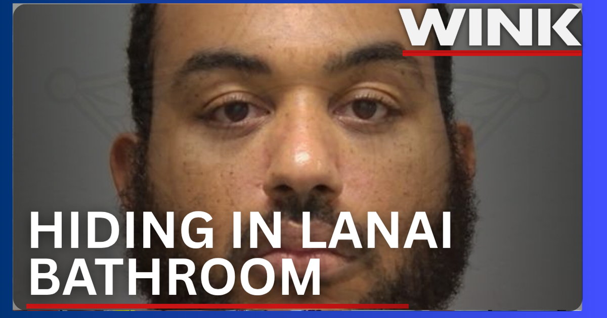 Man found hiding in Cape Coral lanai bathroom with AR, Glock |