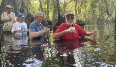 WATERLINE: Take a walk into the wildside | Waterline