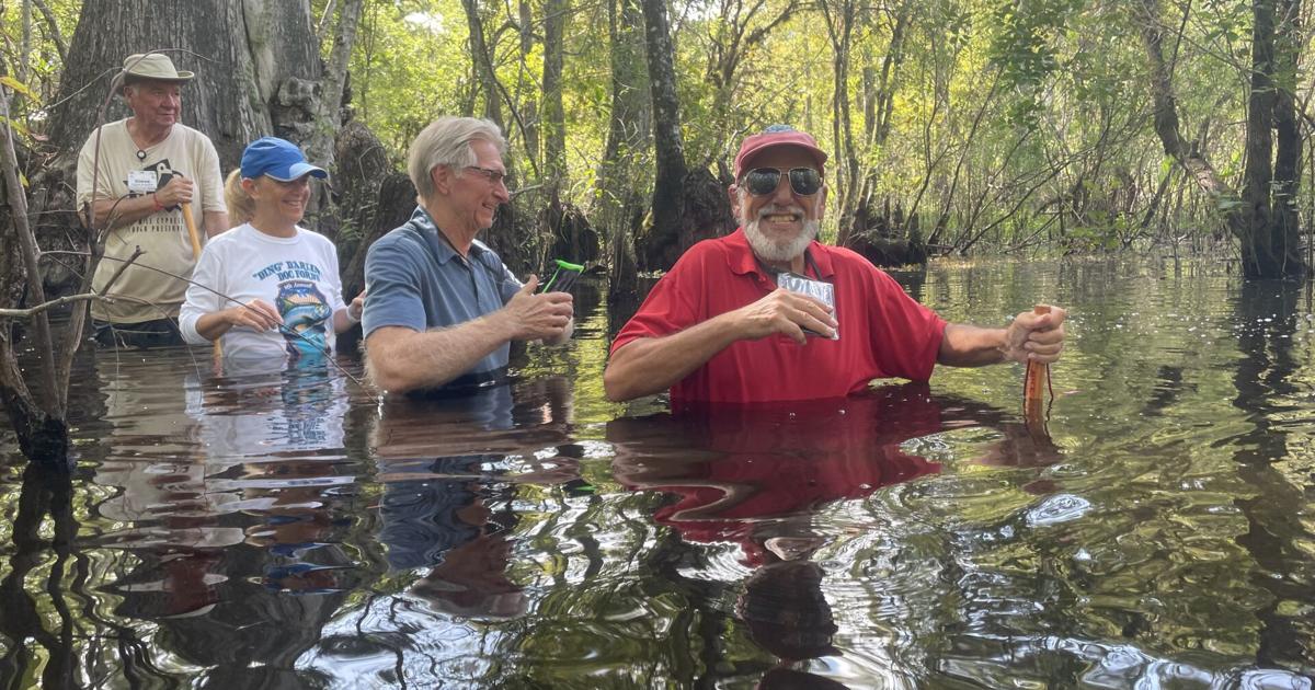WATERLINE: Take a walk into the wildside | Waterline