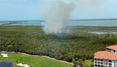 Brush fire near Hyatt and Pelican Landing in Estero extinguished | Lee County