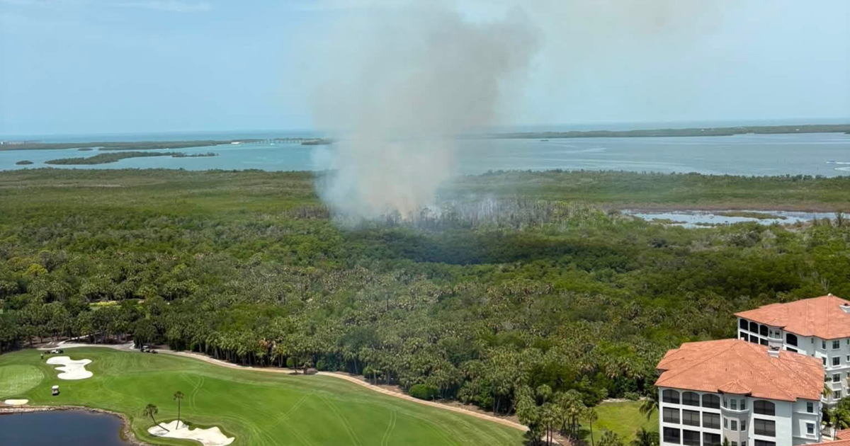 Brush fire near Hyatt and Pelican Landing in Estero extinguished | Lee County