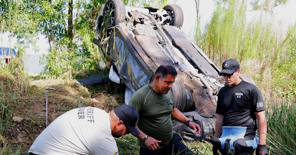 Lehigh Acres chase ends with suspect caught in car stuck in ditch | Lee County